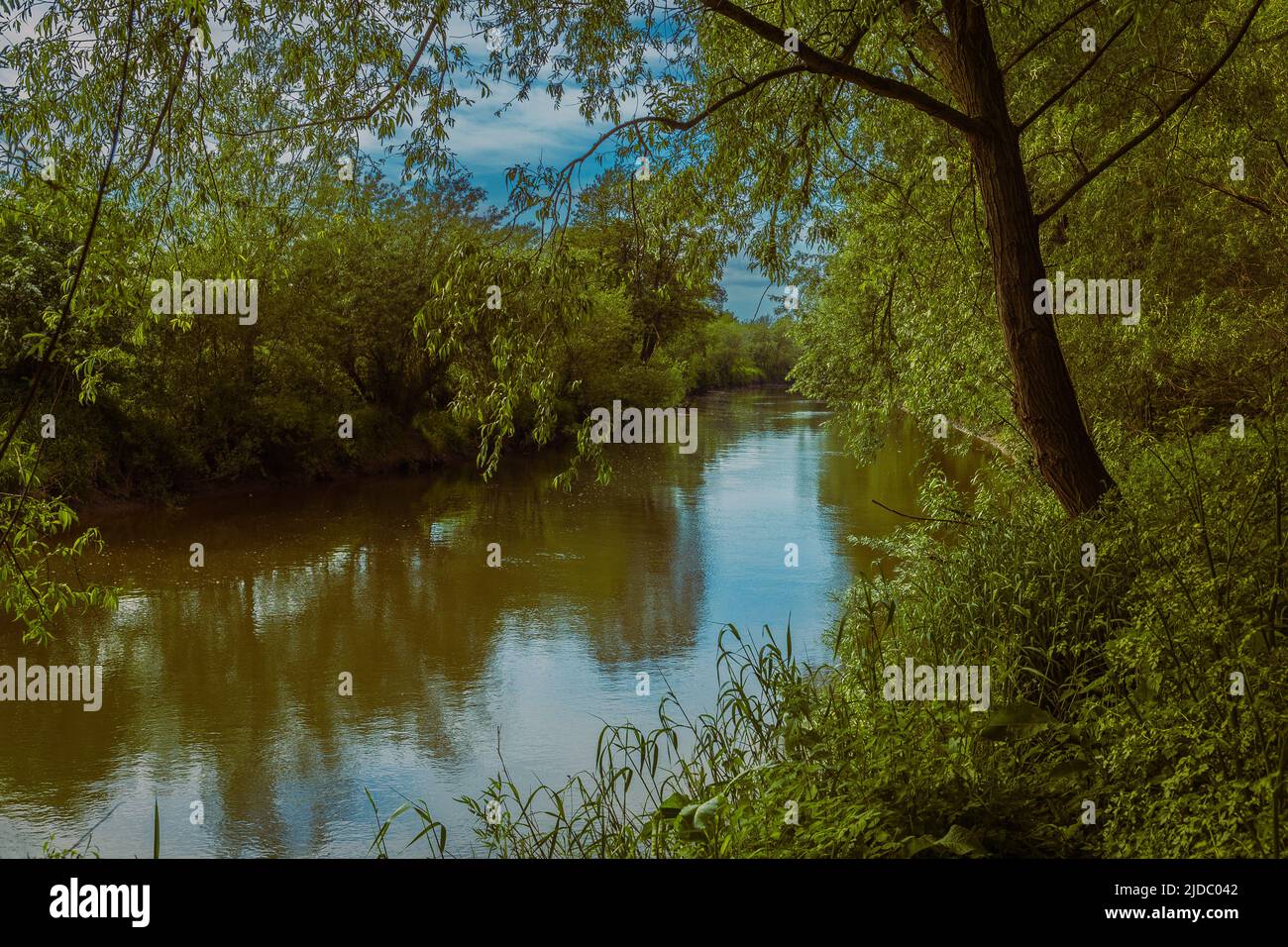 River Severn running through Westgate Park, Gloucester Stock Photo Alamy