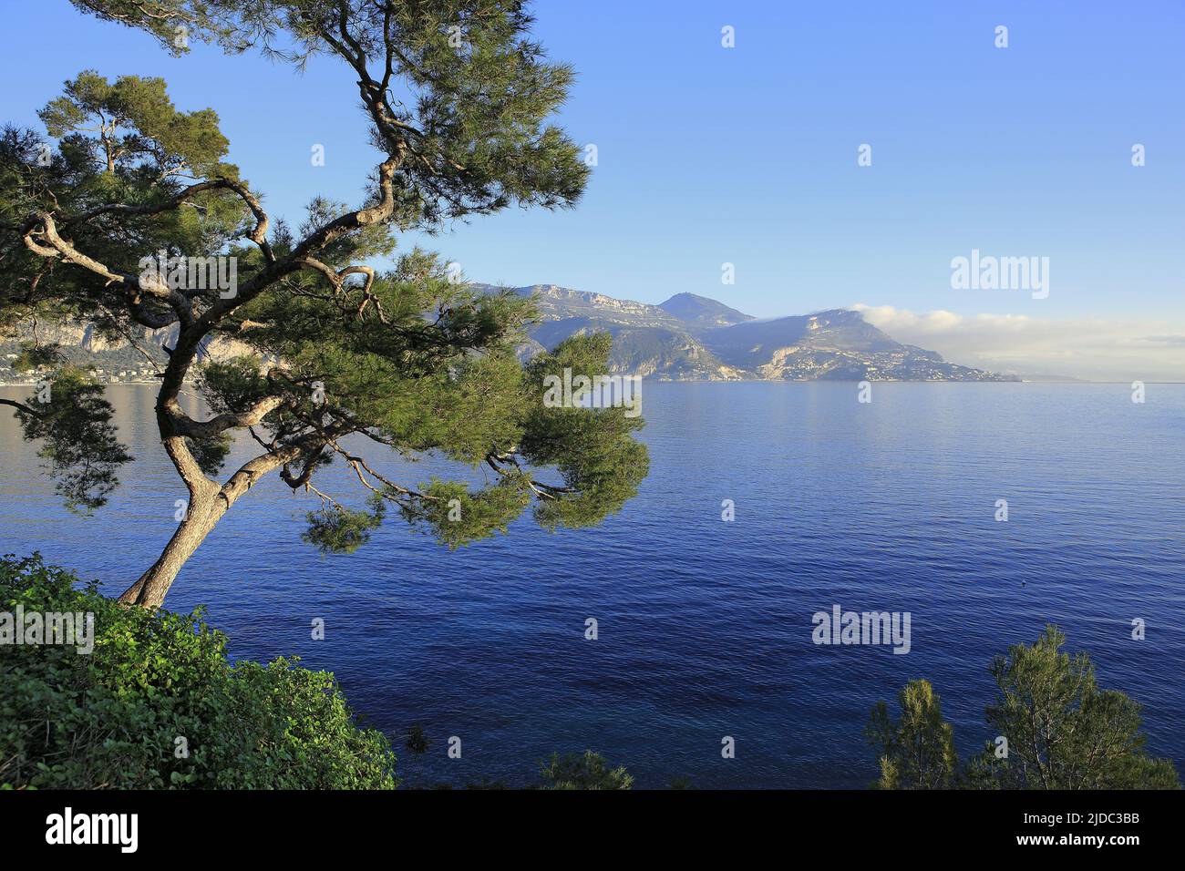 France, Alpes-Maritimes Cap-d'Ail, coastal landscape from Saint-Jean ...