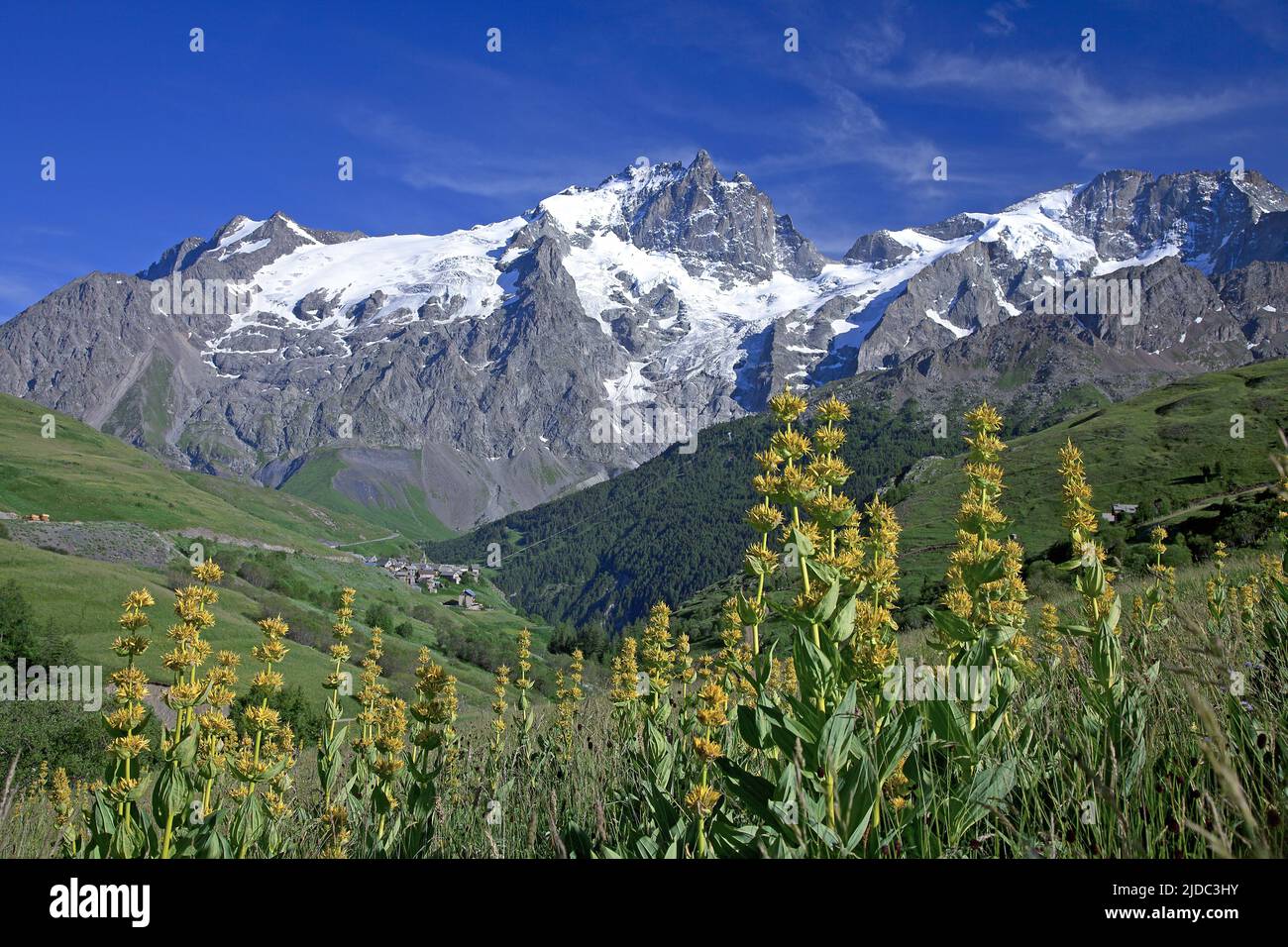 France, Hautes-Alpes Écrins National Park, the massif of Meije since the Chazelet Stock Photo