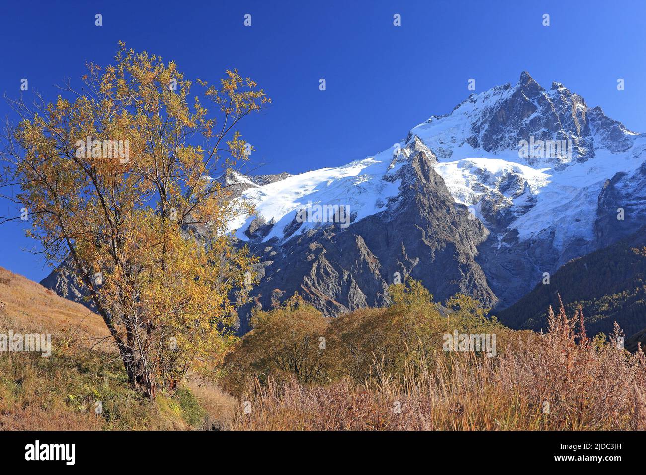 France, Hautes-Alpes La Grave, Meije massif, Ecrins National Park in autumn Stock Photo
