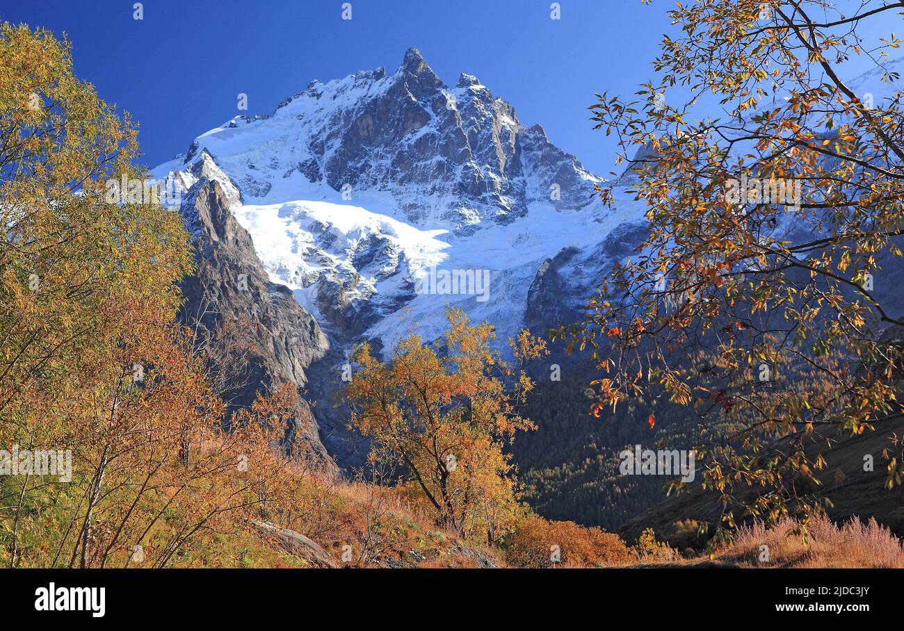 France, Hautes-Alpes La Grave, Meije massif, Ecrins National Park in autumn Stock Photo