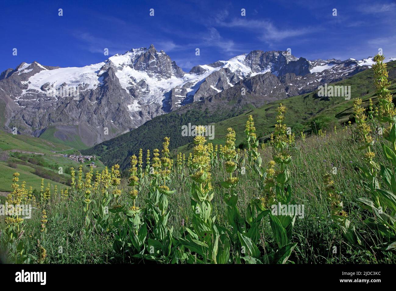 France, Hautes-Alpes La Grave, Meije massif, Ecrins National Park Stock Photo
