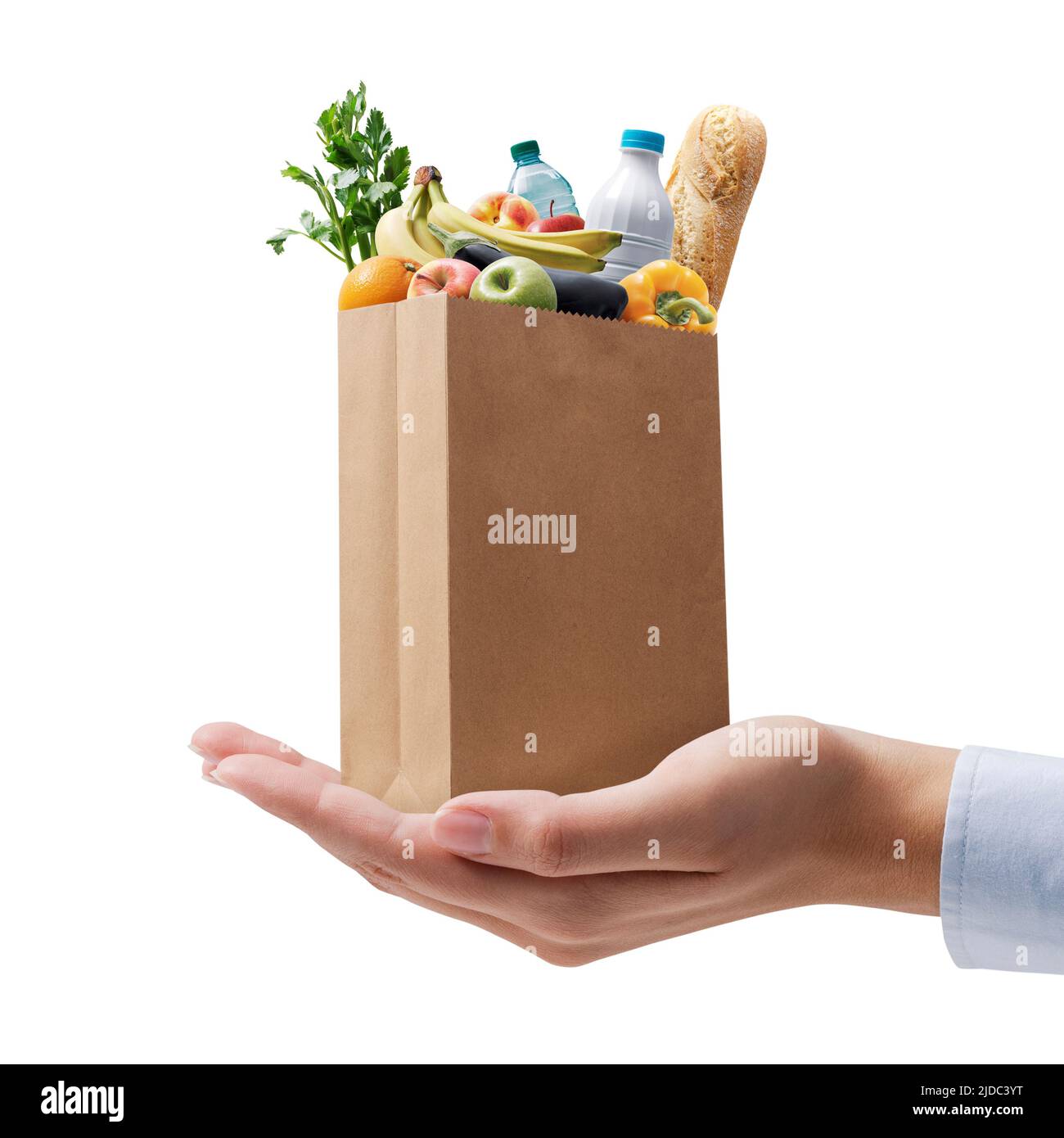 Online grocery shopping and home delivery service tiny grocery bag