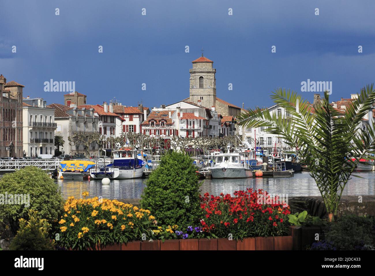 France, Pyrenees-Atlantiques St. Jean de Luz, famous seaside resort of the Basque coast, to the old port, flowers in the foreground Stock Photo