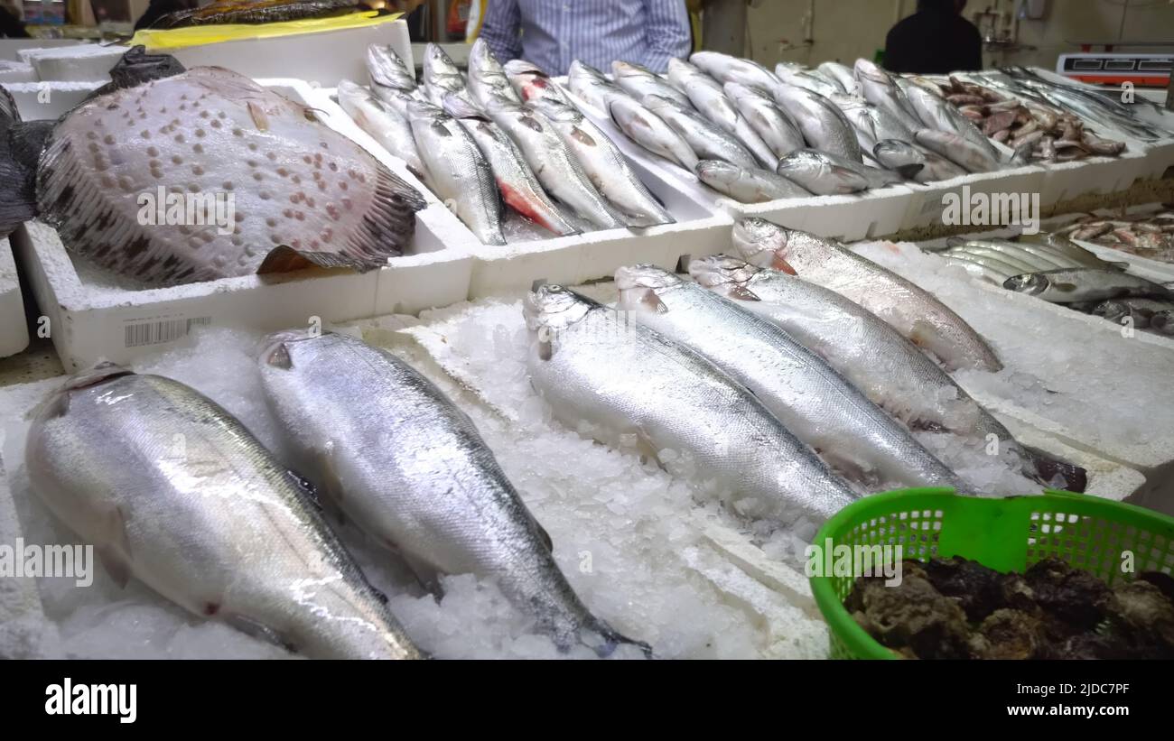 Fresh seafood market in Batumi Live fish in ice. Flounder, red