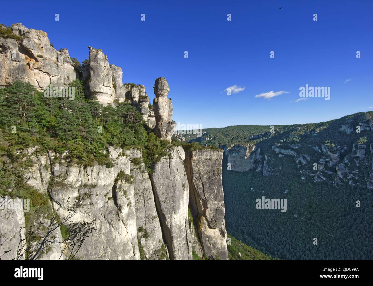 France, Aveyron Le Rosier, landscape of the Jonte cliffs and