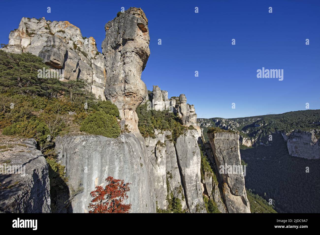France, Aveyron Le Rosier, landscape of the Jonte cliffs and