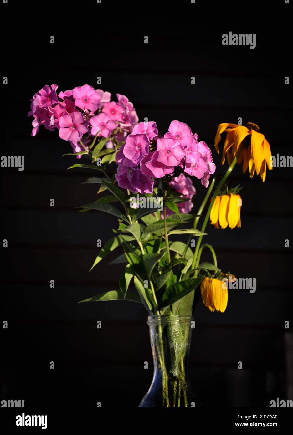 Dried bouquet with colorful flowers on the dark background. Shallow