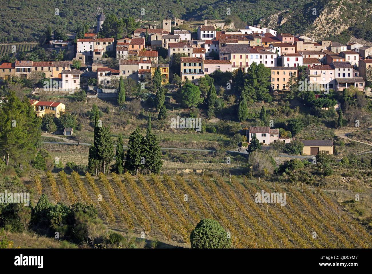 France, Aude Cucugnan, village of the Corbières AOC vineyard Stock Photo