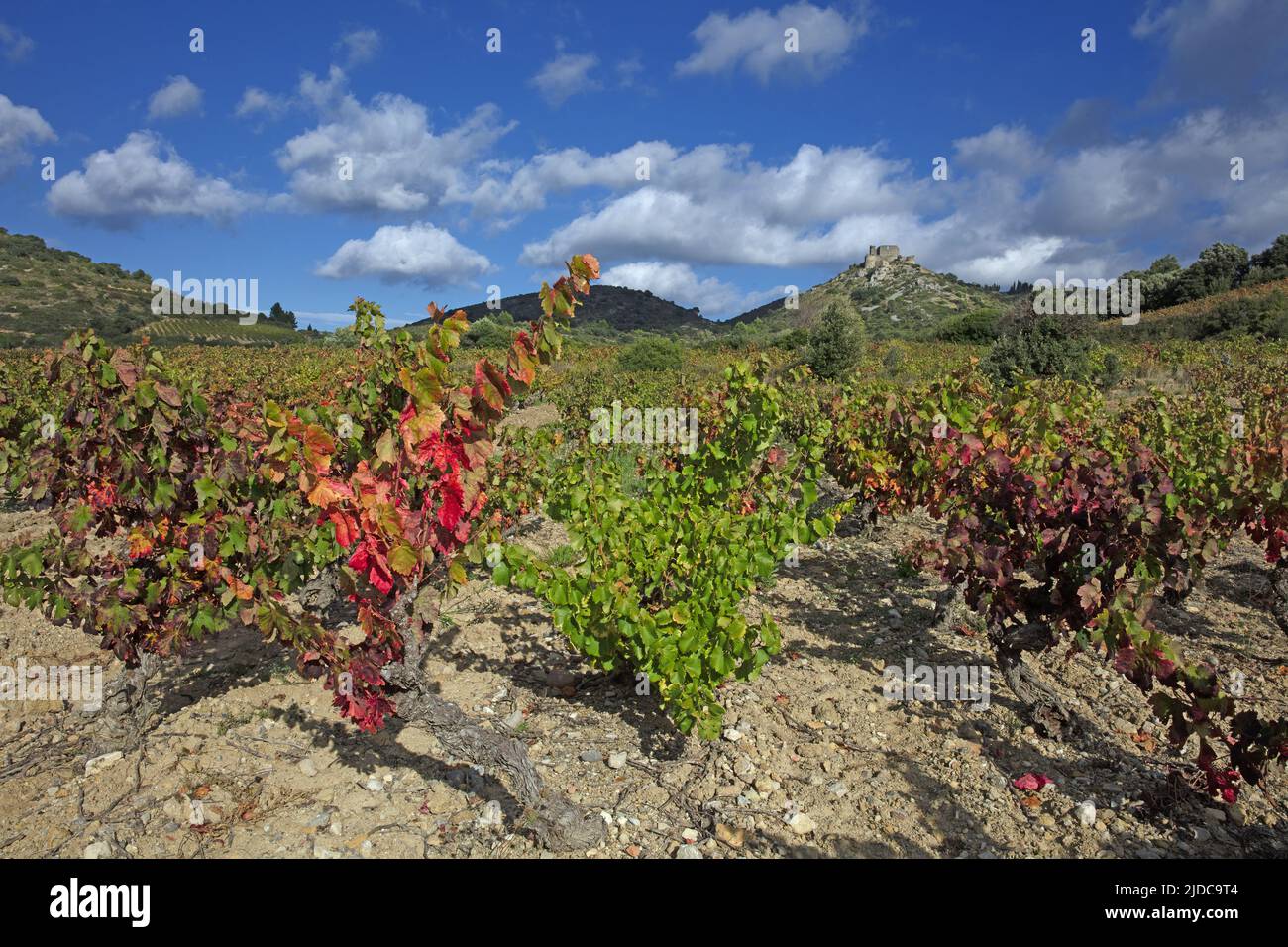 France, Aude Tuchan, the castle of Aguilar from the vineyard Stock Photo