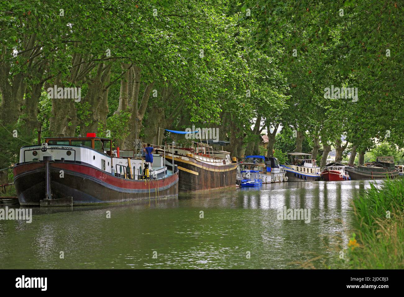 France, Hérault, Canal du Midi is a canal that connects the Garonne River to the Mediterranean Sea Heritage of Humanity UNESCO Stock Photo