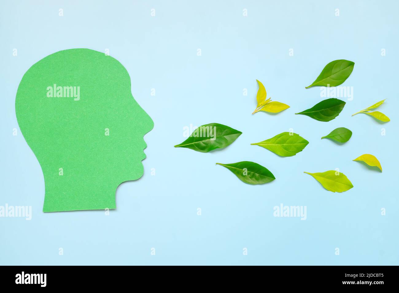 Environmental conservation advocacy, speak campaign and fresh breath concept. Human head profile cutout with fresh leaves on mouth flat lay. Stock Photo