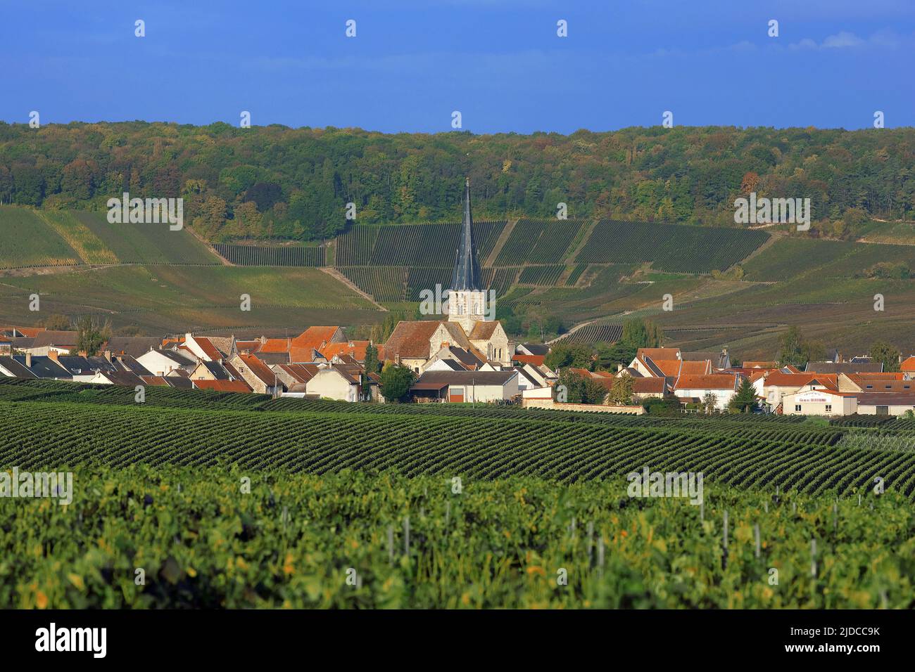 France Marne Chamery Village Vineyard In The Montagne De Reims Stock 