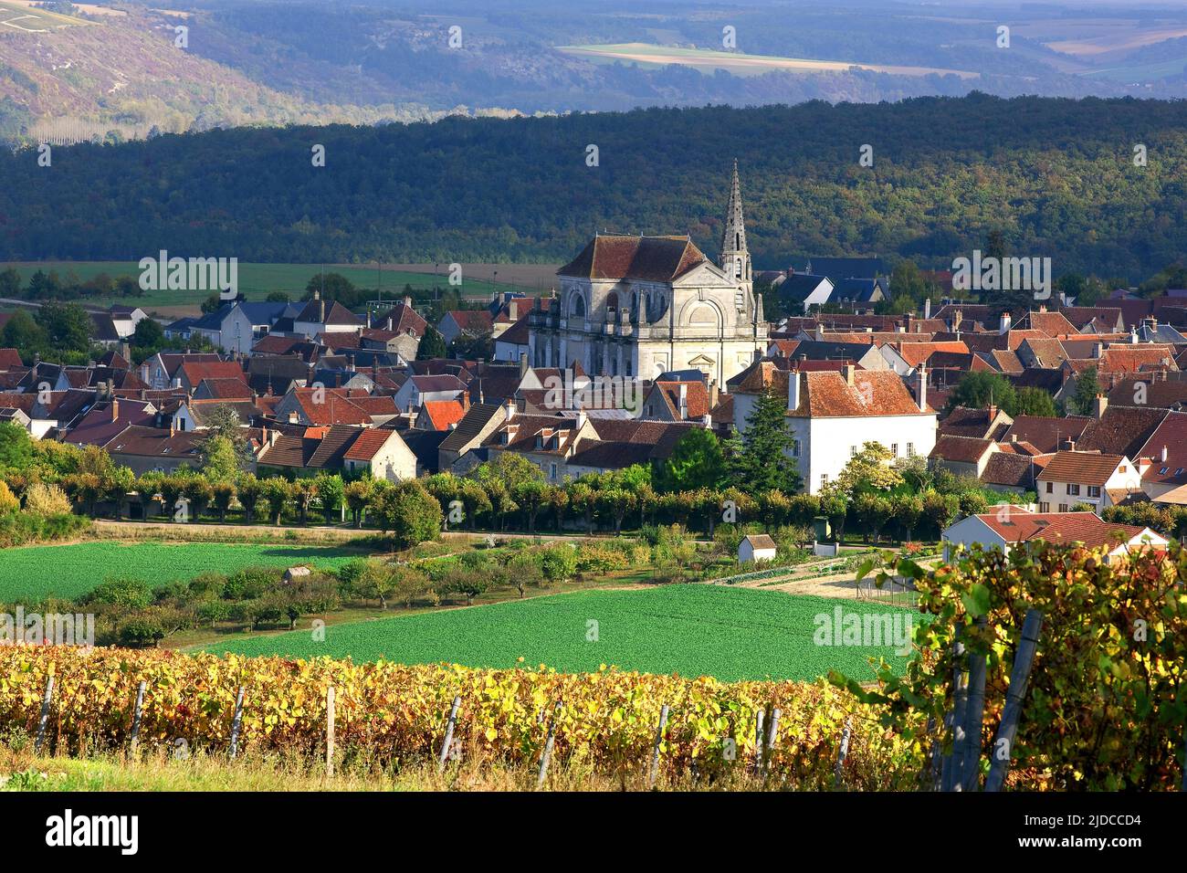 France, Yonne, Coulanges-la-Vineuse village Burgundy vineyards AOC Bourgogne Coulanges-la vineuse Stock Photo