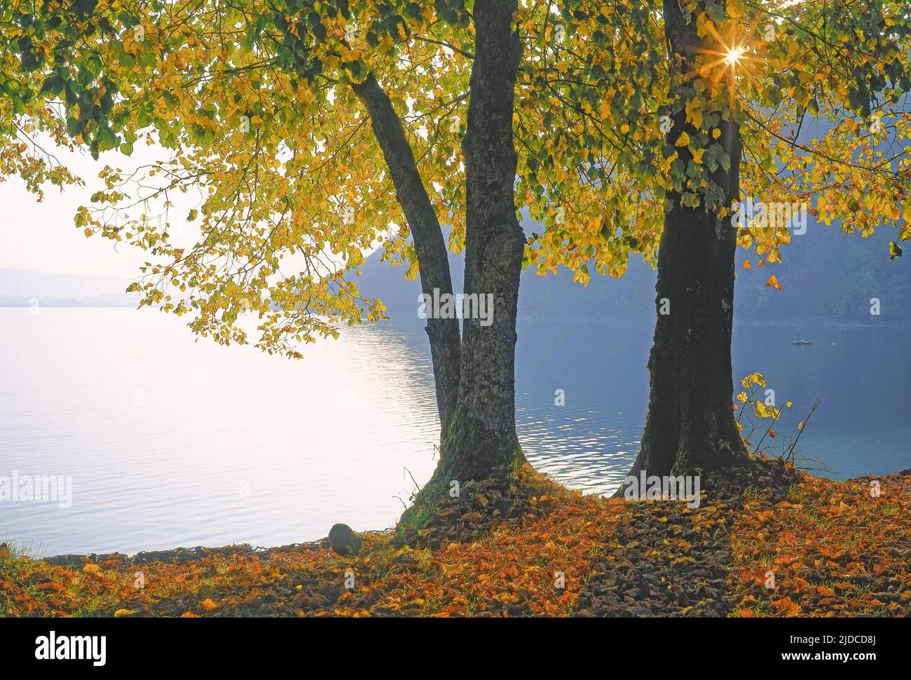 France, Jura, Chalain lake, sunrise Stock Photo