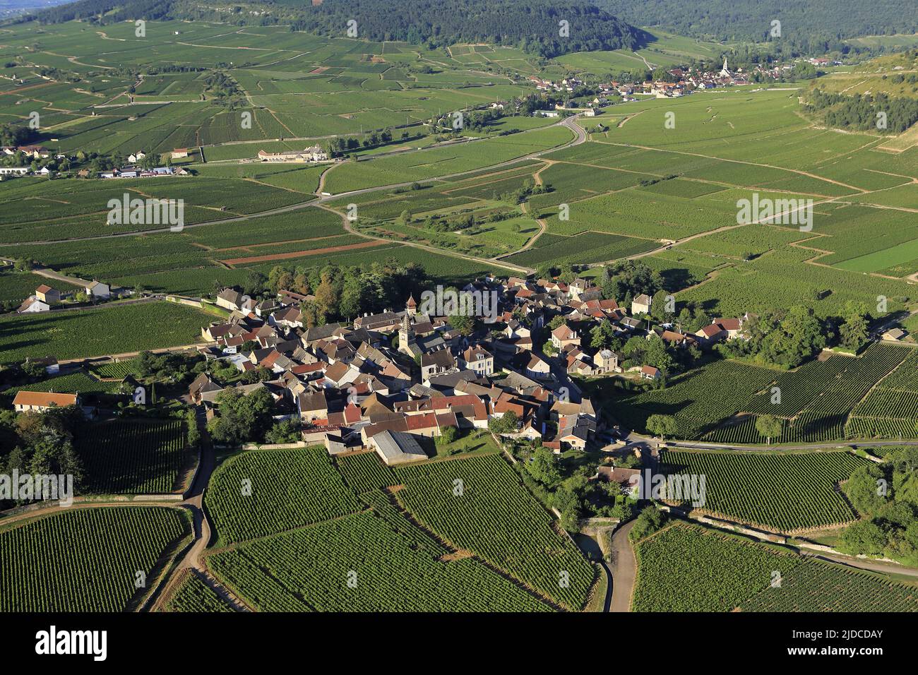 France, Côte-d'Or, Monthélie village vineyards Côte de Beaune, Burgundy wine appellation of controlled origin (aerial photo) Stock Photo