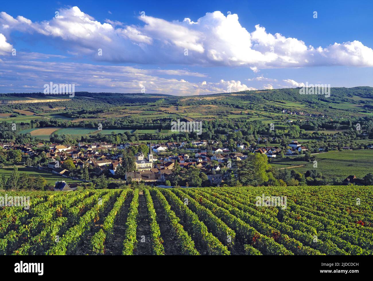 France, Côte-d'Or Santenay, vineyard village of the Côte de Beaune, Burgundy Stock Photo