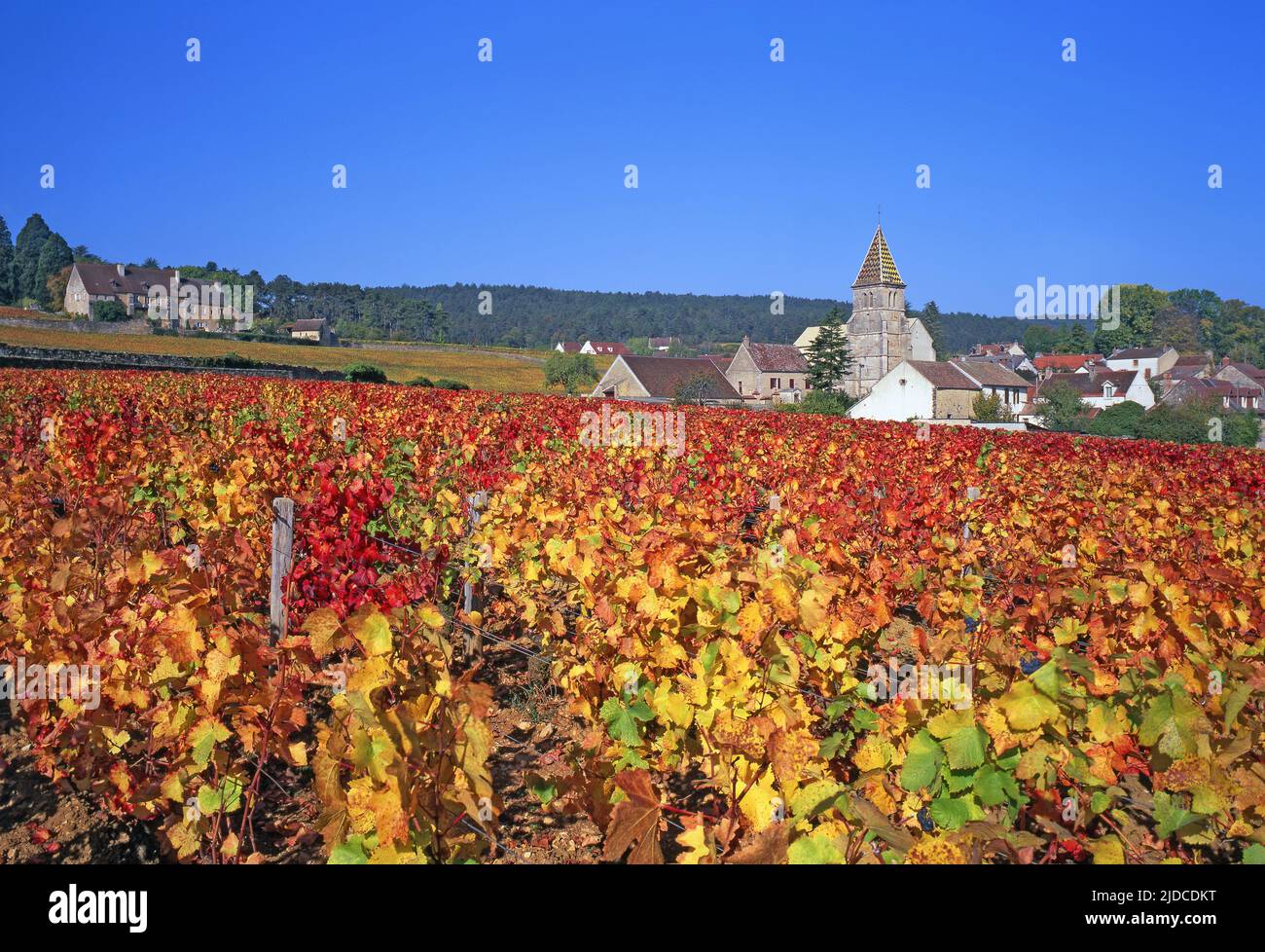 France, Côte-d'Or (21) Fixin, vineyard village Côte de Nuits in autumn Stock Photo