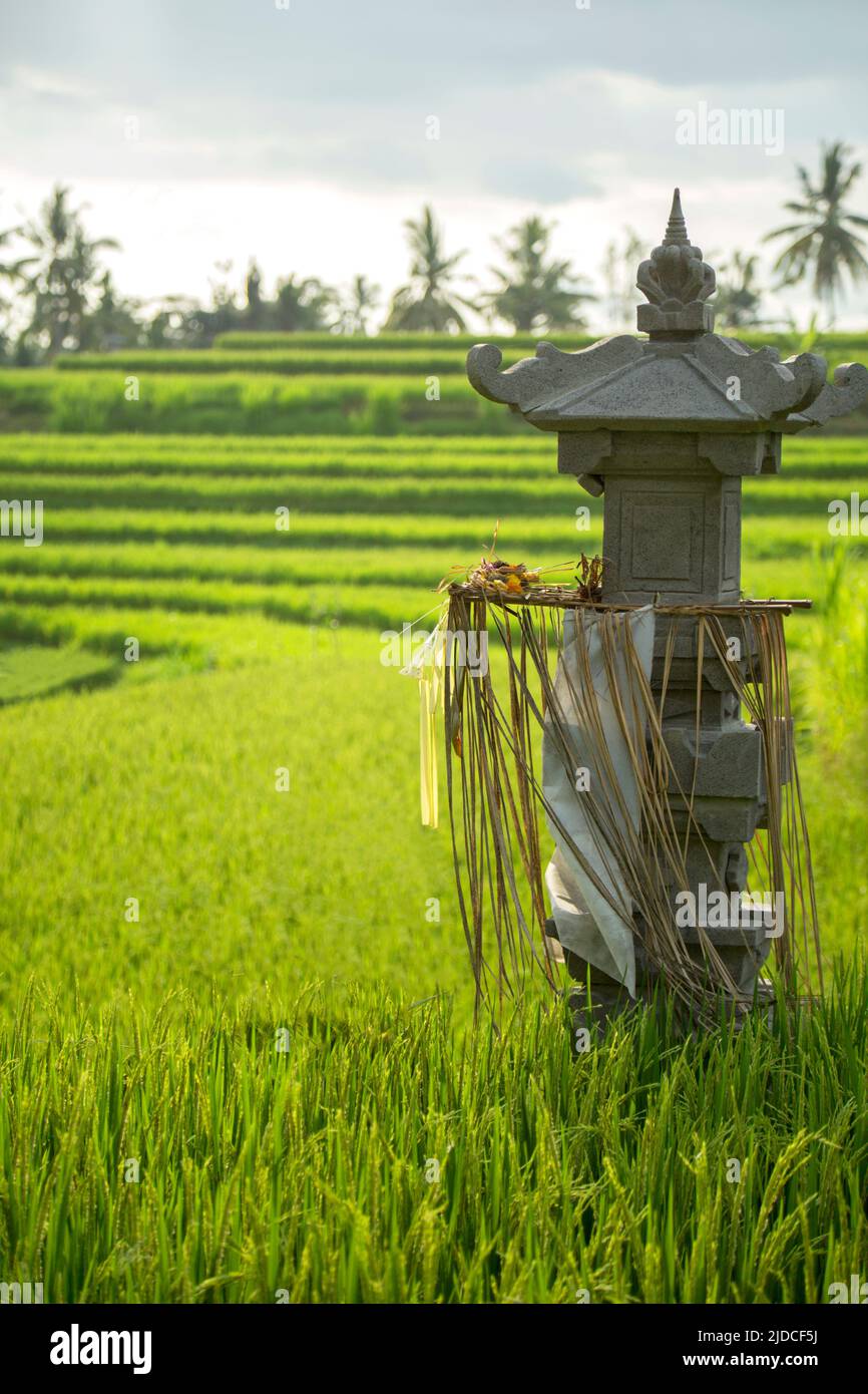 Campuhan rural area in Bali, Indonesia Stock Photo
