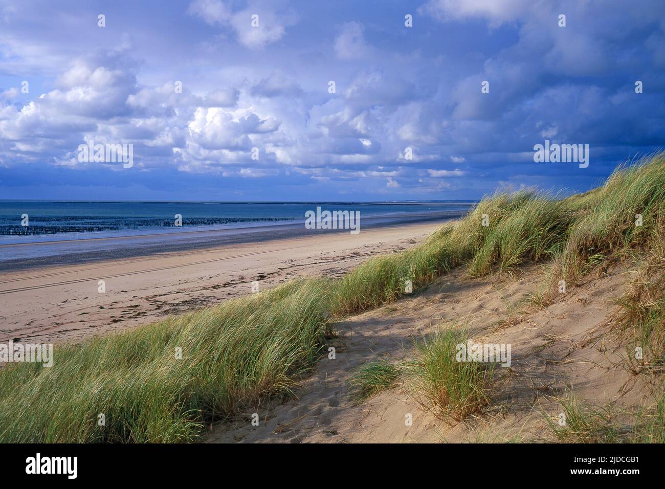 France, Pas-de-Calais Audresselles, the dune coast, maritime landscape Stock Photo