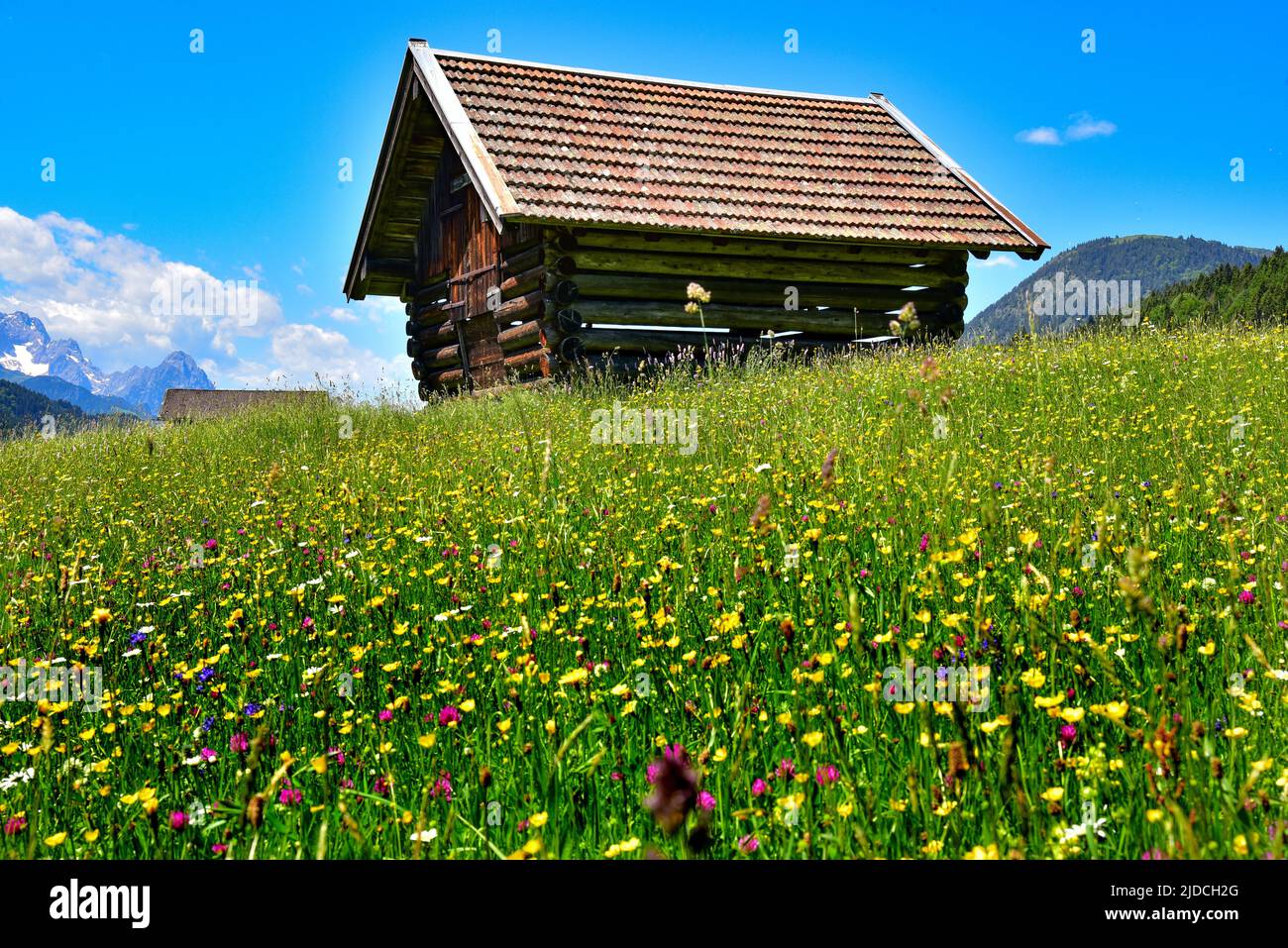 Hay barn on an alpine meadow in summer near Garmisch, Bavaria, Germany, Europe Stock Photo