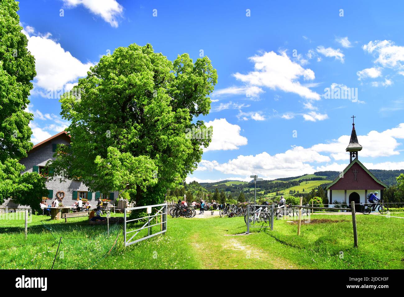 Königsalpe near Stiefenhofen in the Allgaeu, Swabia, Bavaria, Germany, Europe Stock Photo