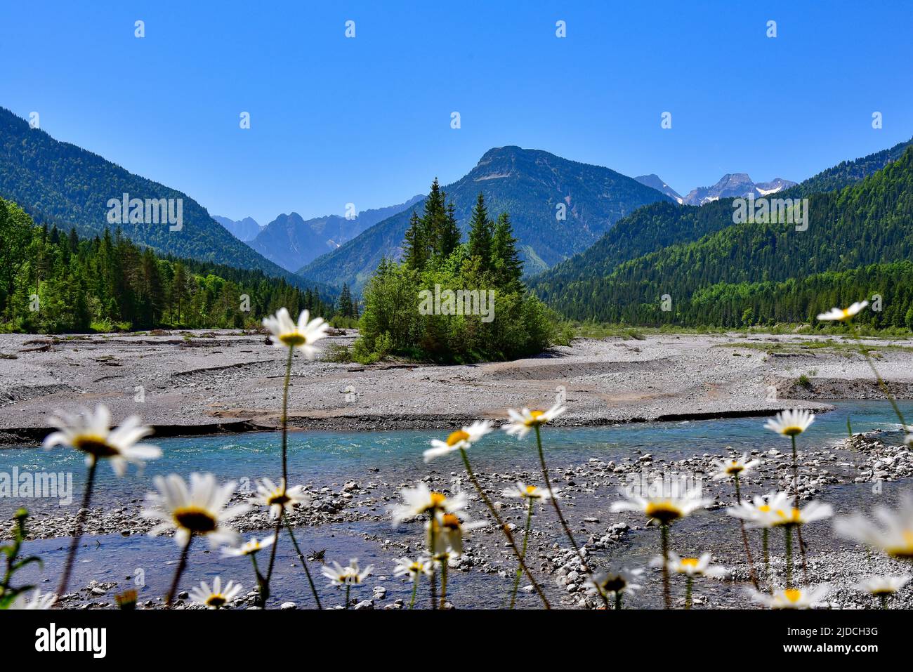 On the upper reaches of the Isar near Vorderriss, view of the Karwendel mountains, district of Bad Tölz-Wolfratshausen, Bavaria, Germany, Europe Stock Photo