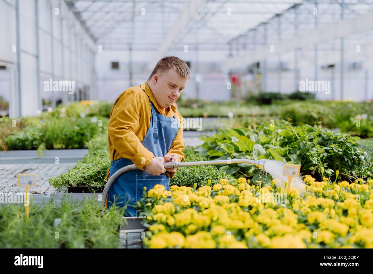 Happy young employee with Down syndrome working in garden centre