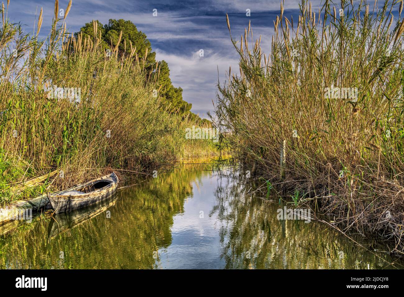 Scenic view of a water canal, Albufera Natural Park, Valencia, Valencian Community, Spain Stock Photo