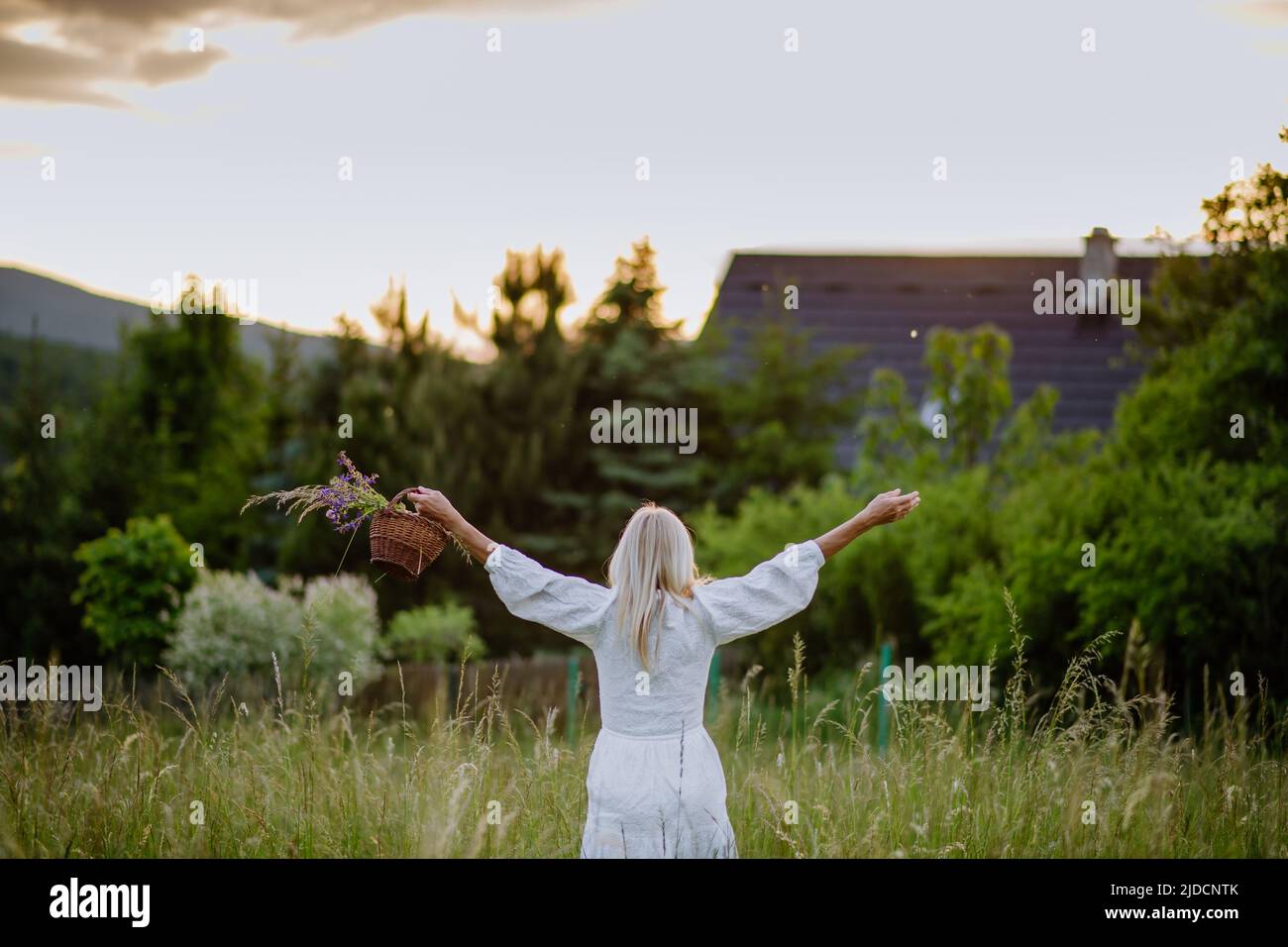 Senior woman rear view dress hi-res stock photography and images - Alamy