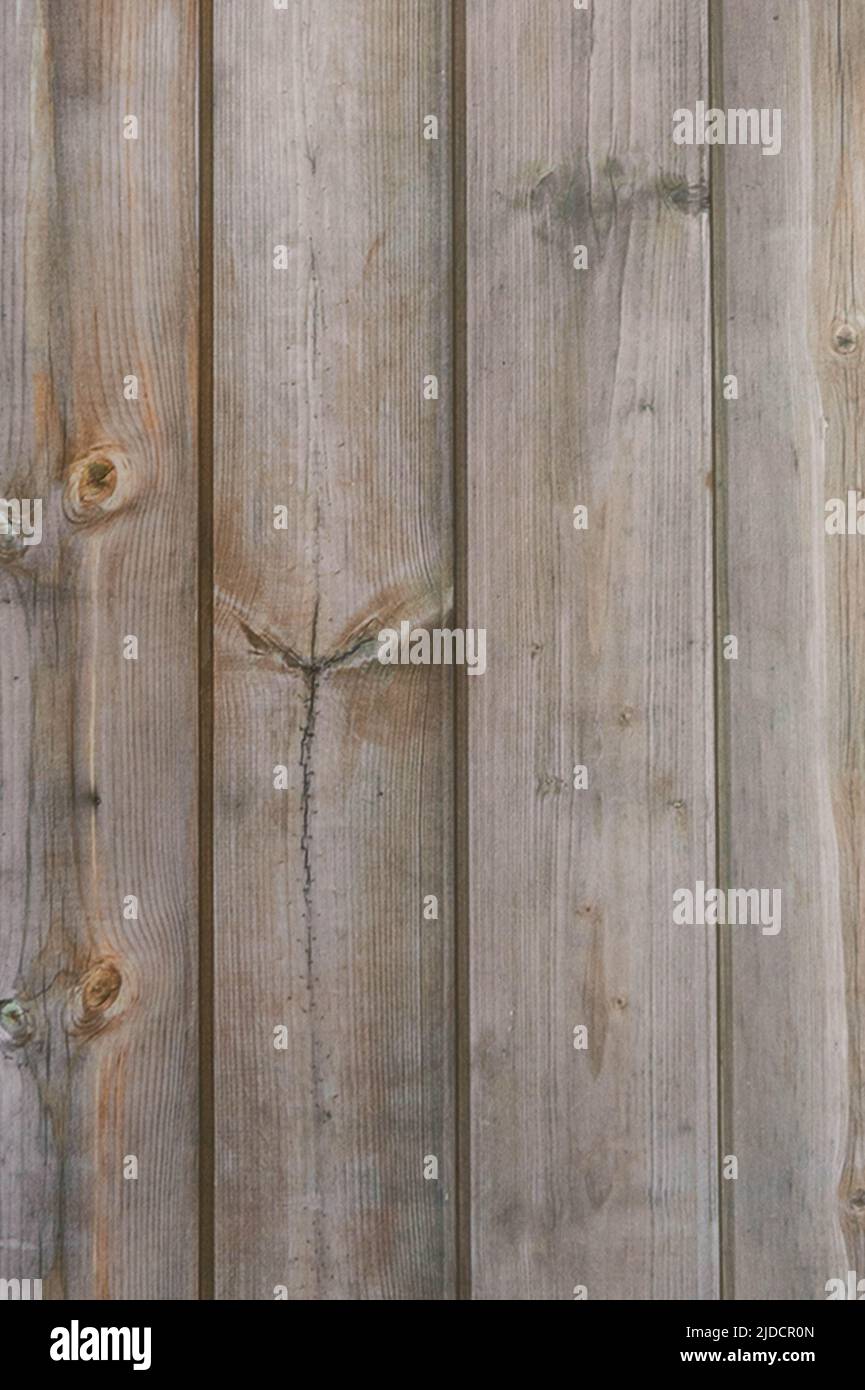 nice background wood texture Stock Photo