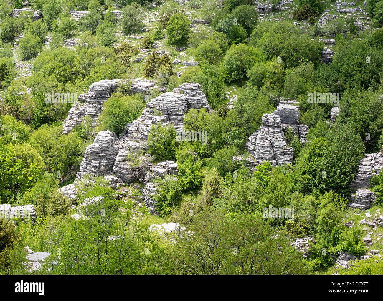Rock pinnacles formed by weathering of Karst limestone in the Vikos Gorge in the Zagori region of northern Greece Stock Photo