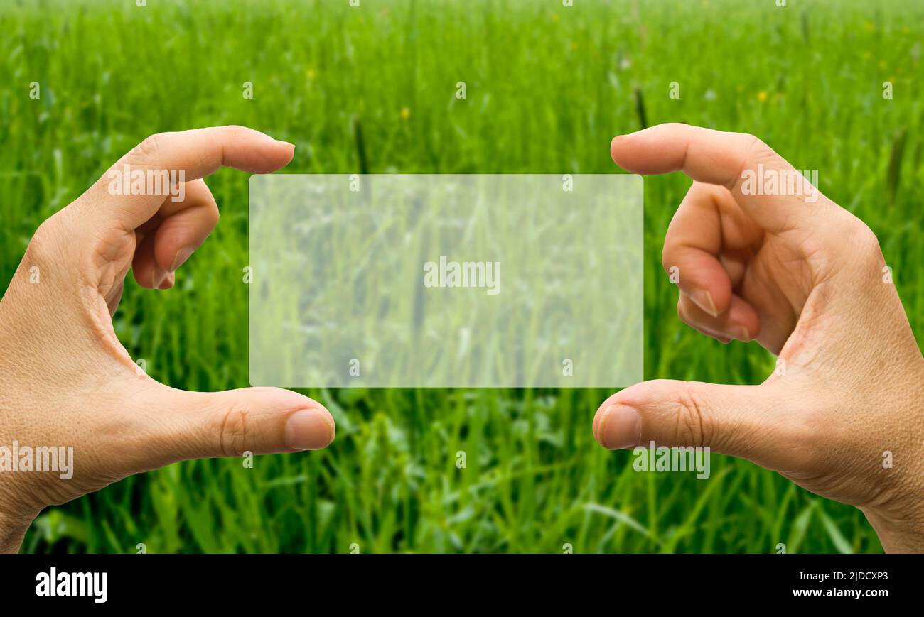 hands holding a card with a green meadow behind, green transition concept Stock Photo