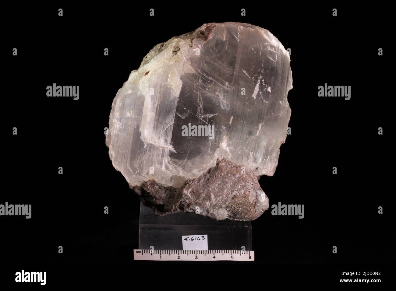 Gypsum. minerals. North America; USA; New York; Niagara County