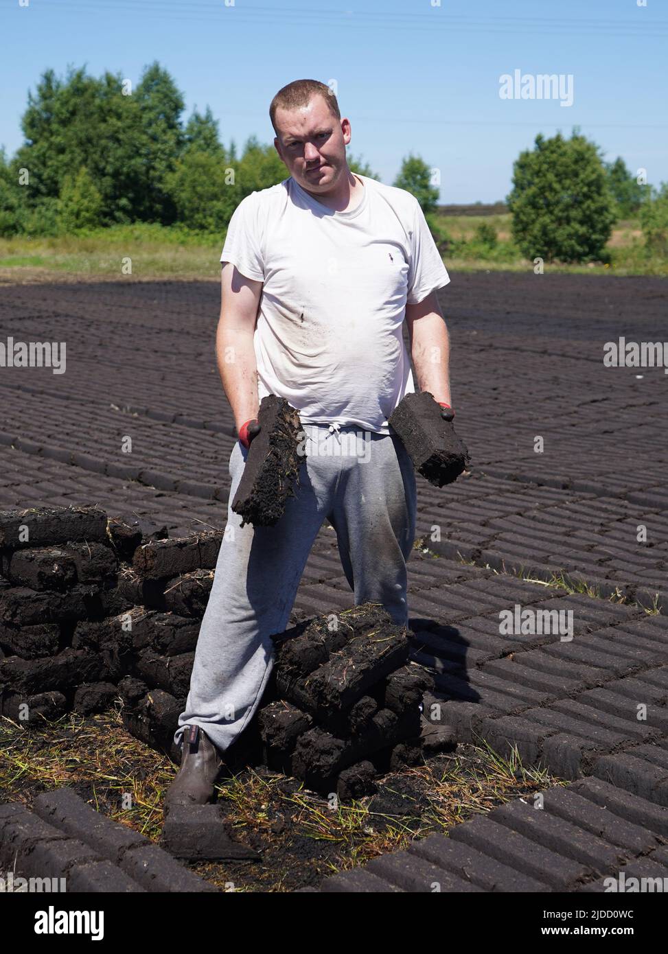 Turf stacker Sean O'Reilly stacks turf to be sold commercially at