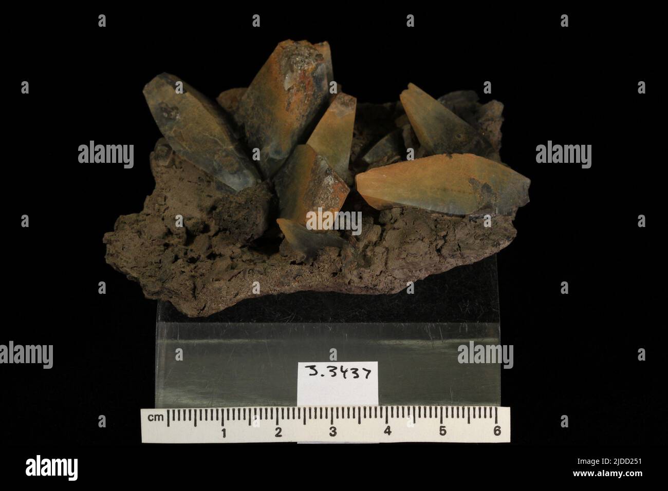 Celestite. minerals. North America; USA; West Virginia; Mineral County Stock Photo Alamy