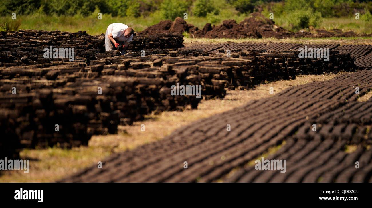 Longford town hires stock photography and images Alamy