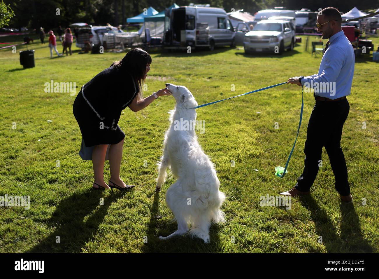 A woman greets Glace, a Borzoi dog, in the benching area ahead of the breed judging during the 146th Westminster Kennel Club Dog Show at the Lyndhurst Estate in Tarrytown, New York, U.S., June 20, 2022. REUTERS/Mike Segar Stock Photo