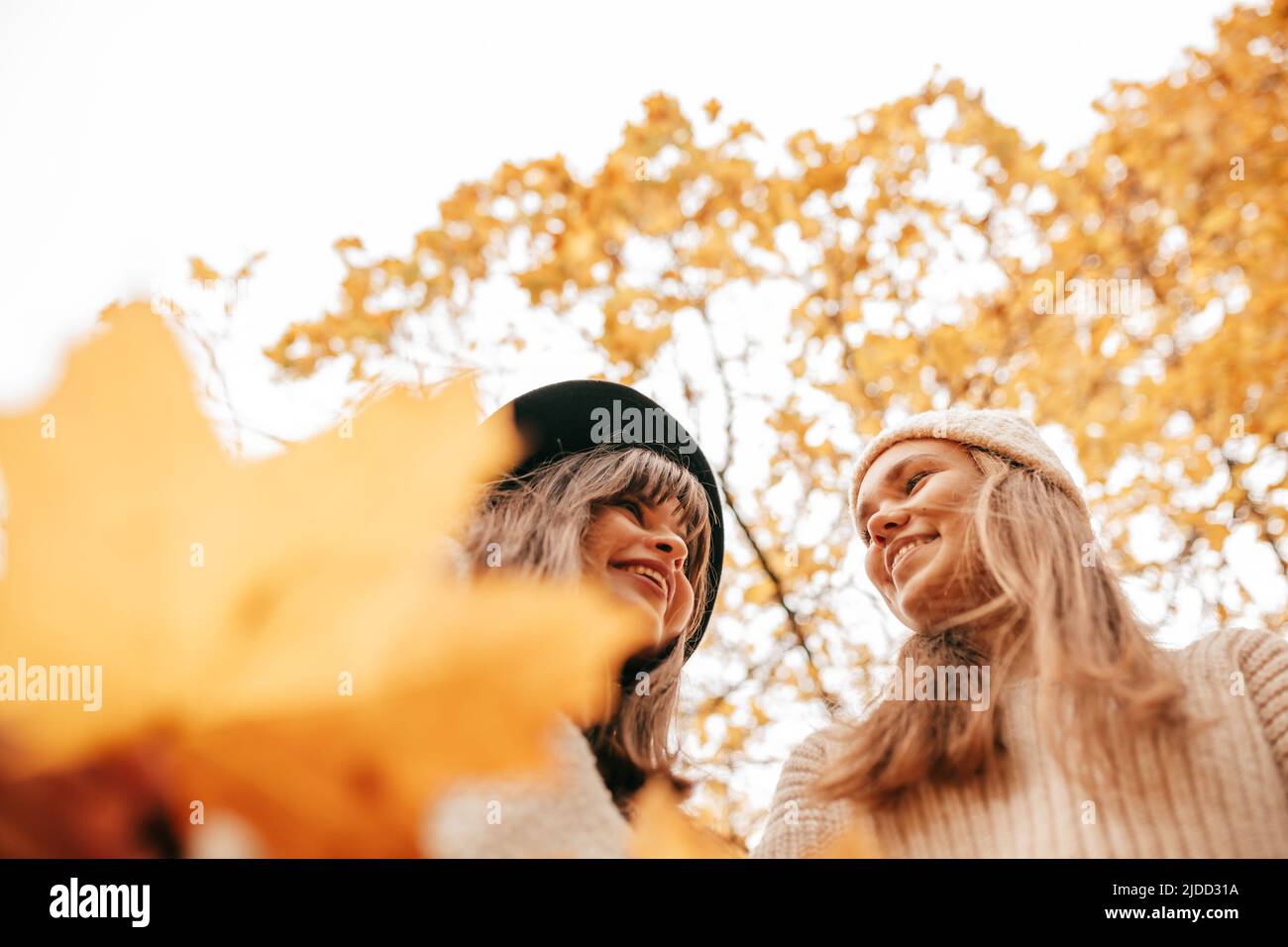 Two young happy women against background of autumn sky and yellow trees . Leaf fall. Positive emotions. Female friendship. Student times. Autumn mood Stock Photo