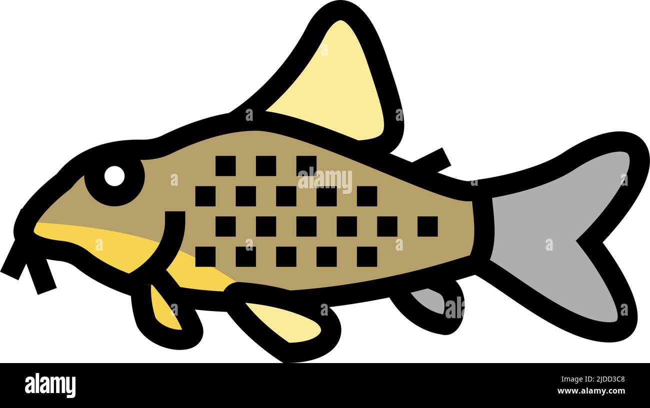 cory catfish color icon vector illustration Stock Vector
