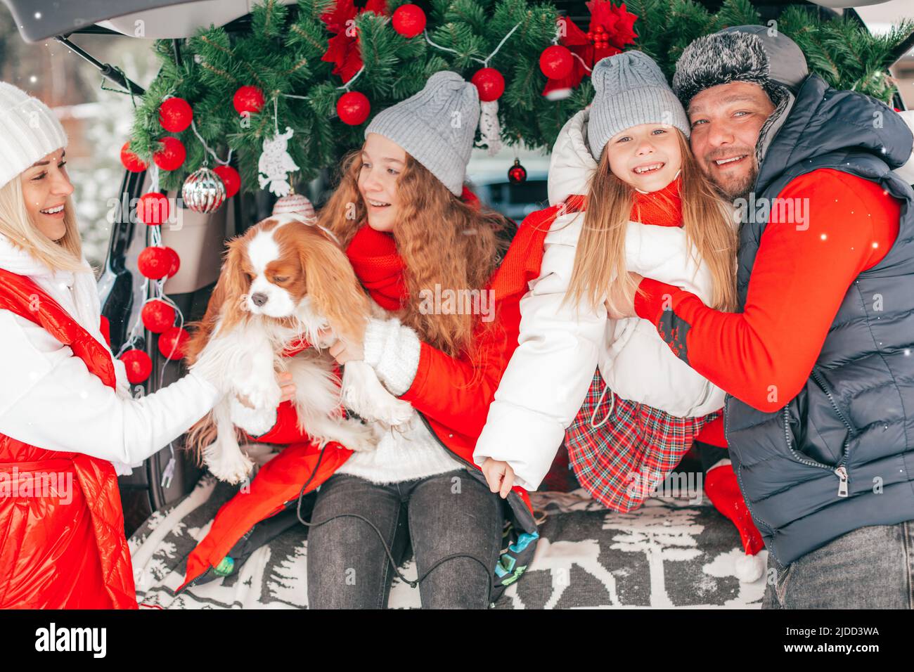Family is having Christmas party in trunk of car outdoors, Dad, Mom and siblings Happy to spend time with dog on winter holiday, Preparation for New Stock Photo
