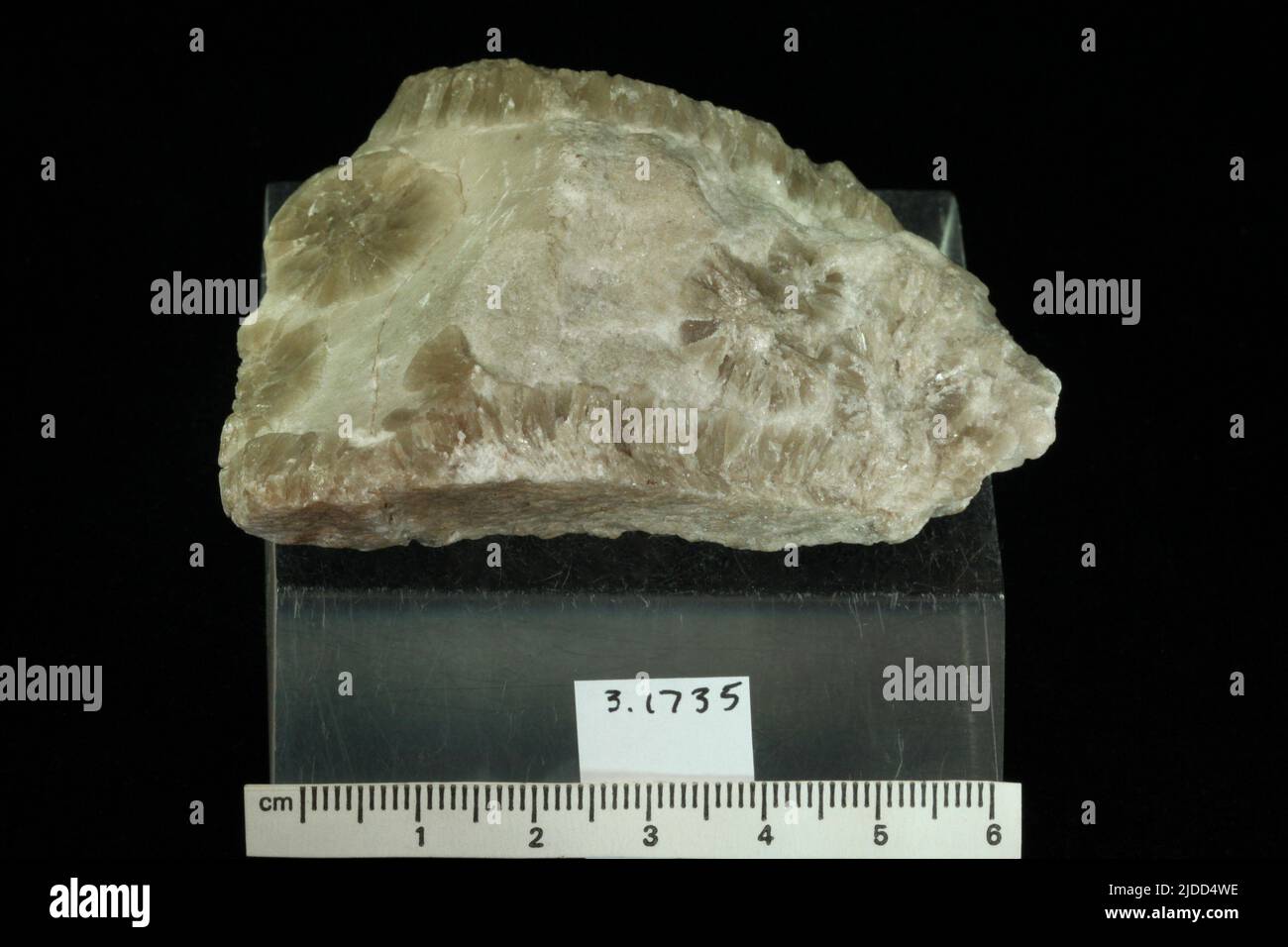 Gypsum. minerals. North America; Canada; Nova Scotia Stock Photo Alamy