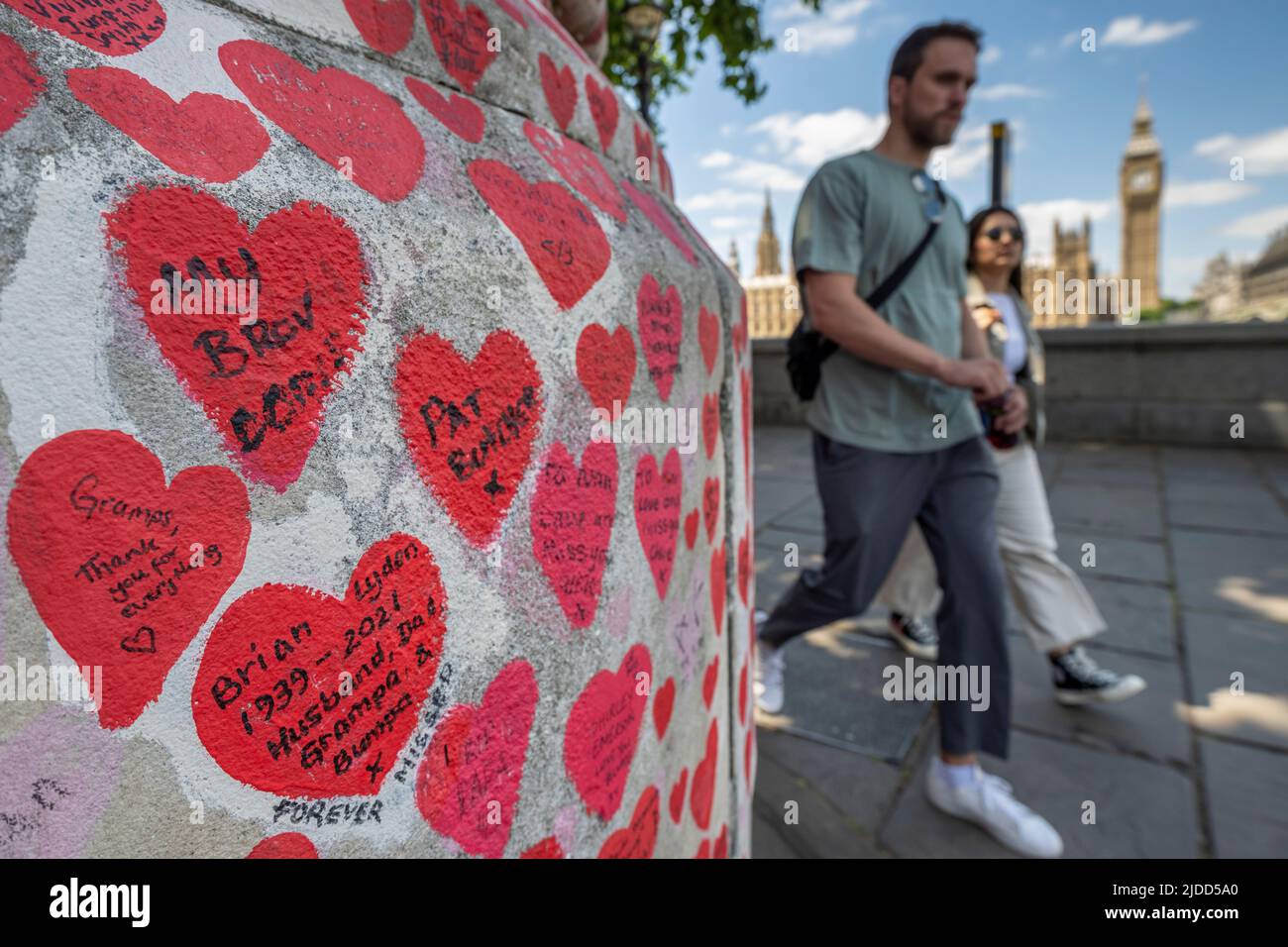 London, UK.  20 June 2022. People pass the National Covid Memorial Wall opposite the Houses of Parliament.  Current data from the ZOE Covid study app shows that daily symptomatic infections rose from 114,030 on 1 June to 188,369 on 17 June.  A new study by Professor Altmann at Imperial College London, shows that a previous infection provides little protection against future infections, explaining the greater-than-expected rise in cases seen in the past three weeks, driven by the BA.4 and BA.5 Omicron subvariants.  Credit: Stephen Chung / Alamy Live News Stock Photo