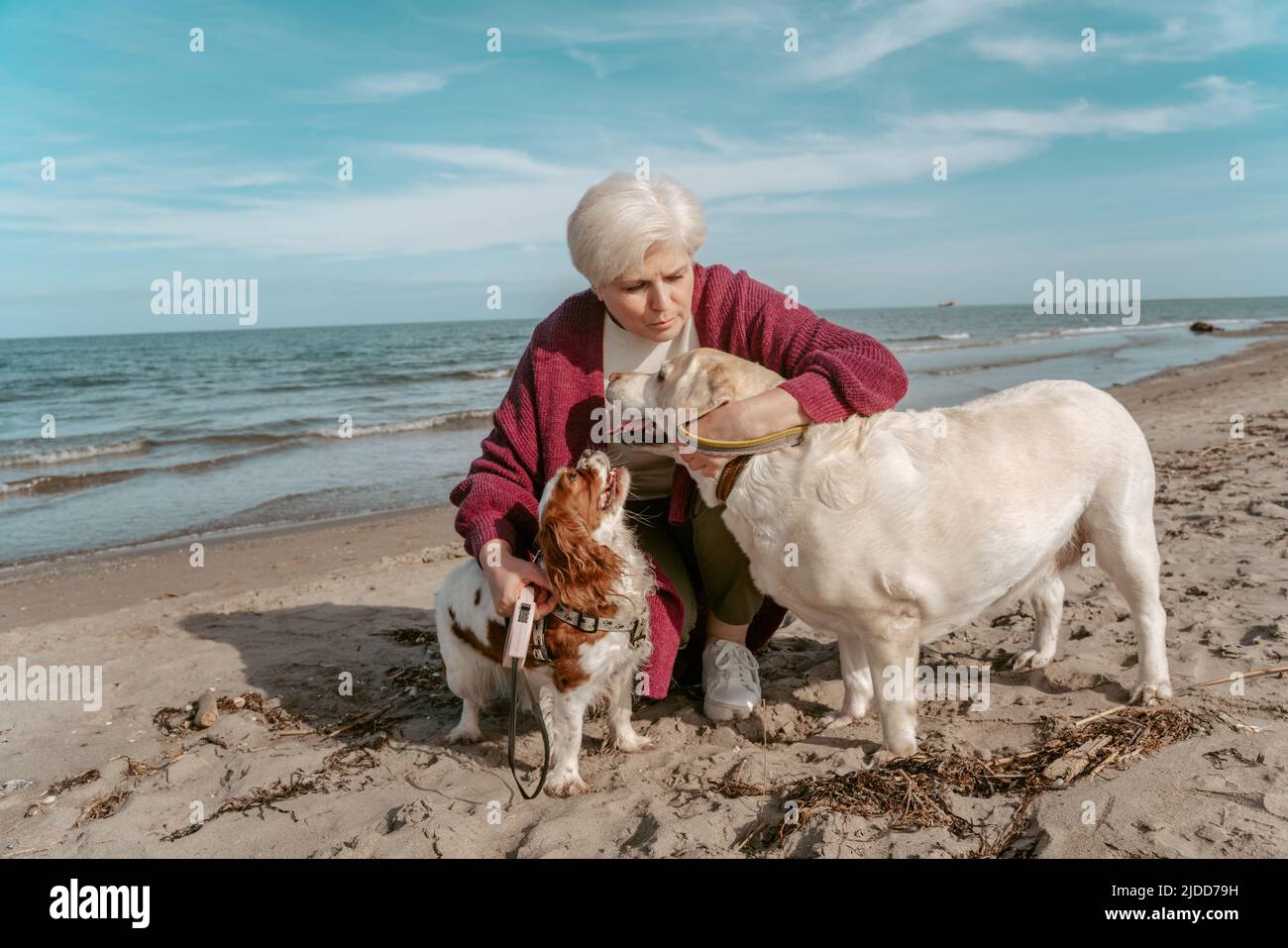 Kind master with her pets on the seashore Stock Photo