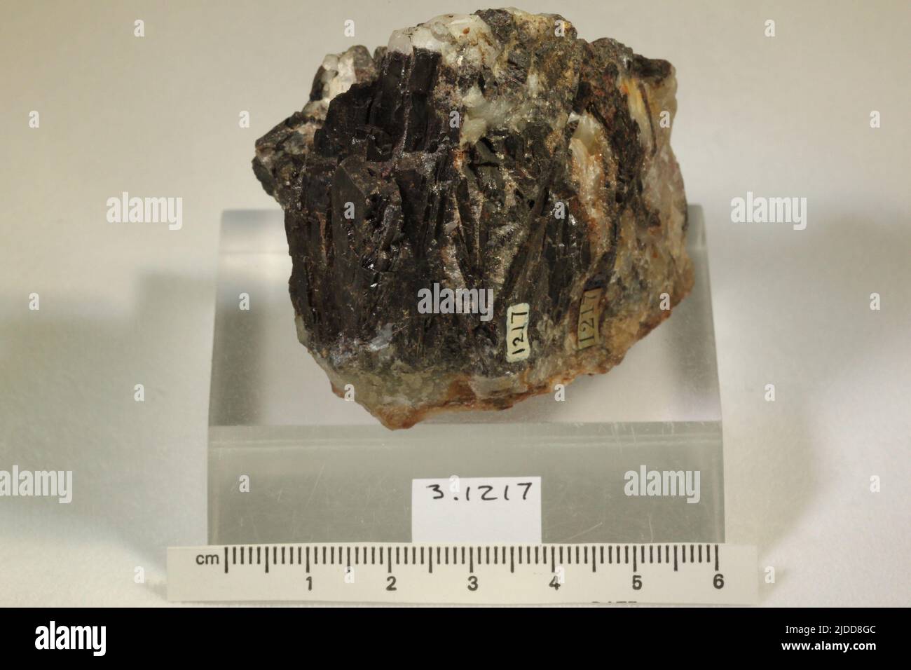 Hubnerite. minerals. North America; USA; Nevada; Nye County; Mammoth District, 60 m SW of Austin Stock Photo