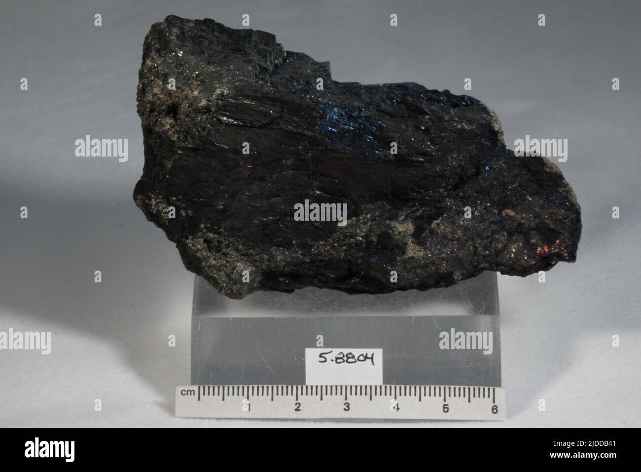 Covellite. minerals. North America; USA; Montana; Silver Bow County