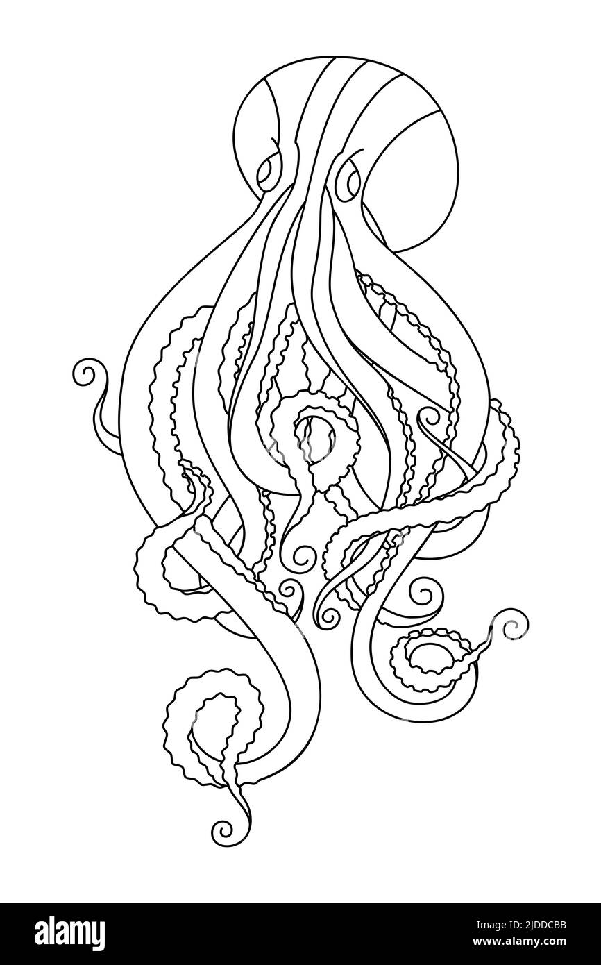 Doodle octopus sketch. Hand drawn squid animal illustration. Coloring page, poster or card, tshirt print, restaurant menu. Nautical vintage design. Ve Stock Vector