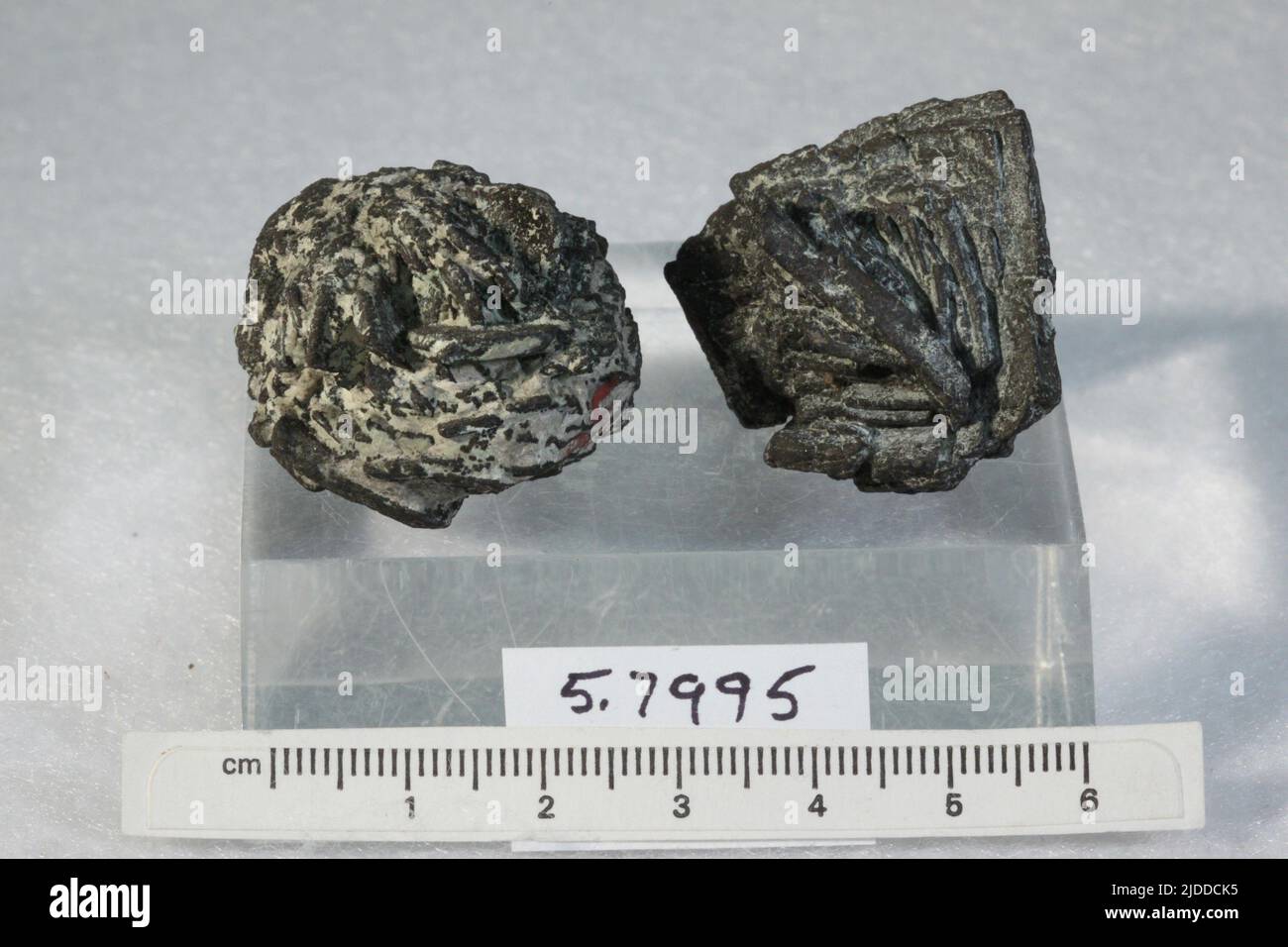 Copper. minerals. North America; USA; New Mexico; Grant County; San