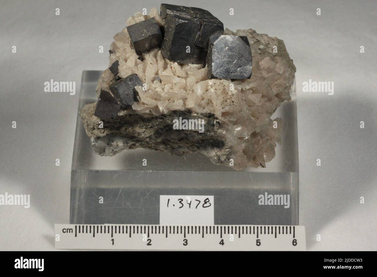 Marcasite. minerals. North America; USA; Kansas; Cherokee County