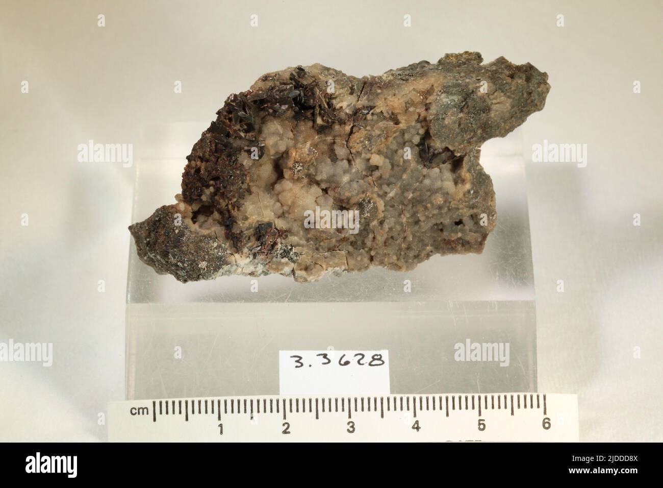 Hubnerite. minerals. North America; USA; Colorado; San Juan County; Silverton; North Star Mine, Sultan Mountain Stock Photo